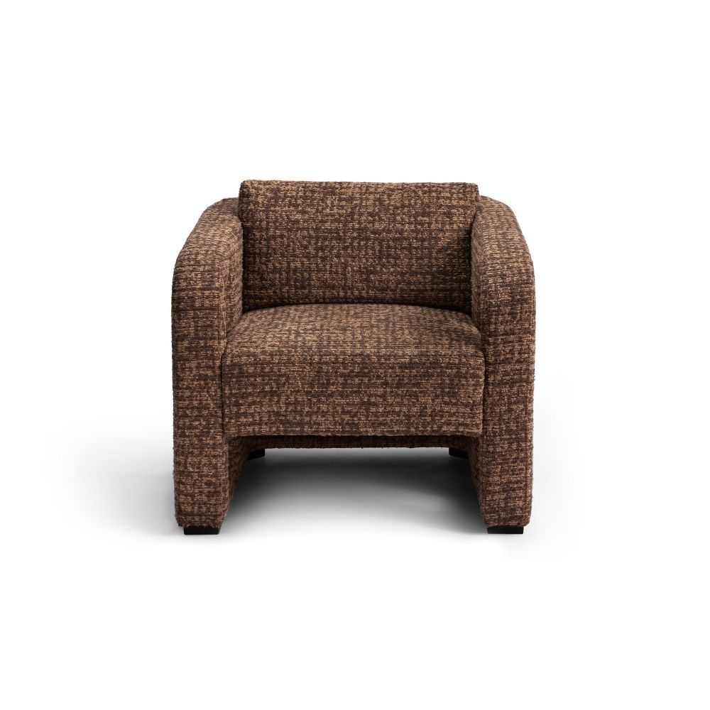 Plush Armchair for Living Room |AARO Teak Wood Armchair